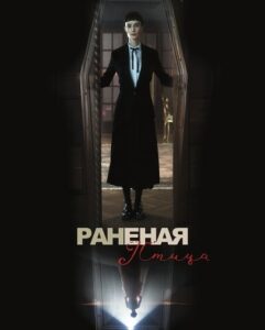 شاهدمشاهدة فيلم Broken Bird 2024 مترجم