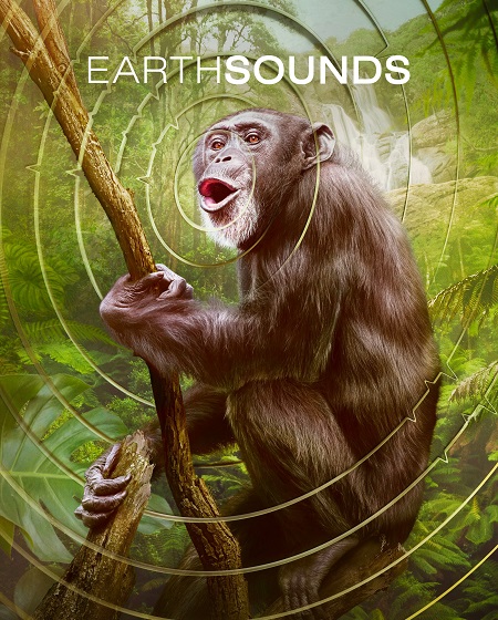 مشاهدة مسلسل Earthsounds الموسم الاول الحلقة 8 مترجمة