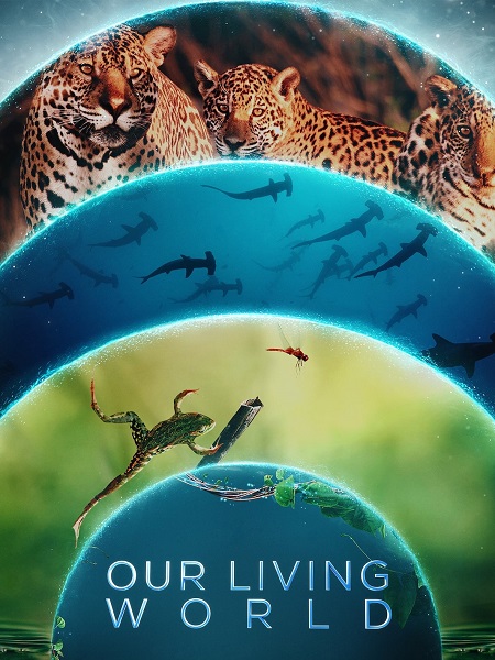 مشاهدة مسلسل Our Living World الحلقة 3 مترجمة