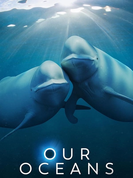 مشاهدة مسلسل Our Oceans الحلقة 5 مترجمة